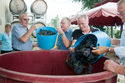 Grape Crushing Festival